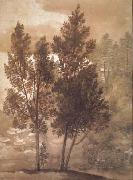 Claude Lorrain Trees (mk17) china oil painting reproduction